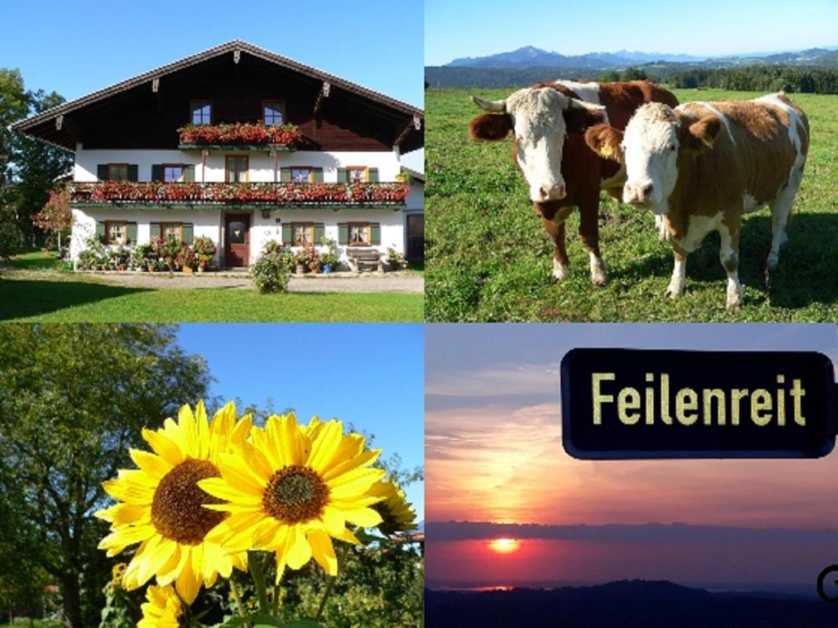 Fembacherhof Siegsdorf Exterior foto